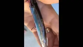 DUO REALIS SPINBAIT90