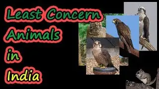 List of least concern animals in India | UPSC Civils | APPSC Group1 | TNPSC Group 1