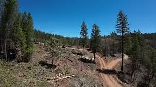 Drone flight partly burnt canyon timber falling