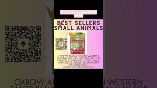 Best sellers small animal on Amazon #amazon #amazonmusthaves #smallanimal #rabbit #hamsterhouse
