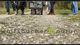 Wolfsbacher Natur 🌱🐶 So verbringen wir unsere Sonntage ☀️👨&zwj;👩&zwj;👧&zwj;👦