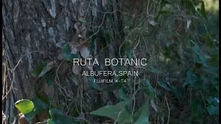 RUTA BOTANIC ALBUFERA VALENCIA. Fujifilm x-t4 video 4k
