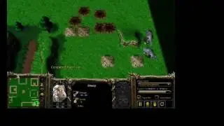 Warcraft Sheep Tag