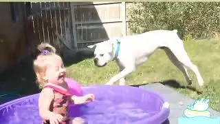 Adorable Water Fun  Baby & Dog's Splashy Adventure!