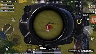 Pabci