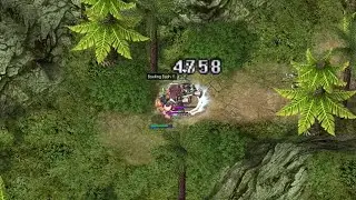 [OriginsRO] Knight (SAD) at Anolian (382k exp/min)