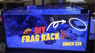 DIY $20 Magnetic Frag Rack