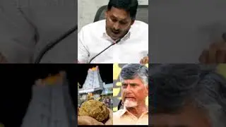 Ys jagan reaction on tirupati laddu issue #jagan #cbn #tirupati #laddu #trending #ttd #tdp