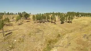 27796 Jenny Rd., Pine Shadows Subdivision, Hot Springs, SD