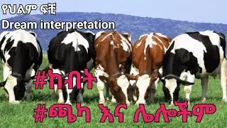Dream interpretation የህልም ፍቺ በ መንፈሳዊ#ጫካ#ከብት እና ሌሎችም #ethiopia #arts #habesha #duet #ethiopia
