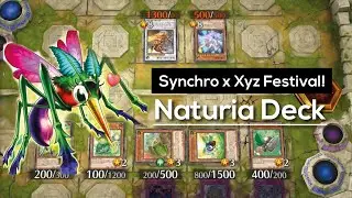 They don't know the rule of Naturia Deck? | Syncro Xyz Festival [Master duel] 2022