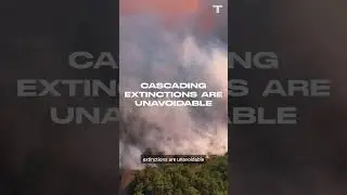 Supercomputer Predicts Mass Extinction By 2100 #shorts