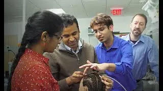 A Wearable Brain Stimulation Device