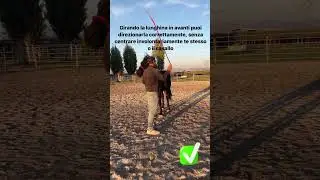 💪🏻 Come si gira correttamente la lunghina nel lavoro da terra con il cavallo?