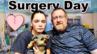 Major Surgery!  |  We Are Worried!  |  Emotional!