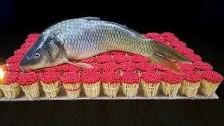 EXPERIMENT || Fish Cooking/10000 Matches VS One Fish -♨♨♨Match Stick/Fire Domino♨♨♨