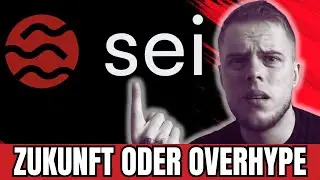 SEI Blockchain - Zukunftsprojekt oder einfach nur Overhype?