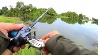 St Croix Legend Tournament Big Cranker TBC78MHM+Daiwa Zillion SV TW gear ratio 5.5| Superb rod ...