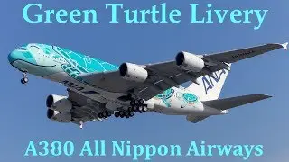 Finally Flying! The GREEN ANA A380 in Turtle Livery - Cabin First Flight