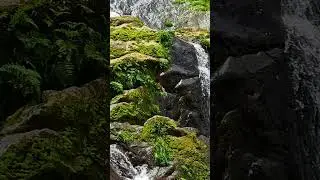 Yog Nidra ka Scientific Sach | Astral Travel Reality |Consciousness Power| The Unknown Path#shorts