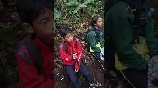 Gunung wilis via jurang senggani. Jalur sensasi akar pohon