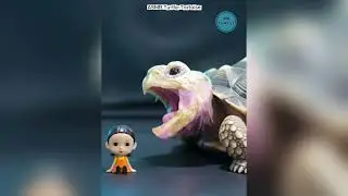 THIS GIANT TORTOISE MERCILESSLY CRUNCHES WOODEN MAN😱#ASMR #Tortoise #Shorts