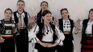 Daria Bendea  -  Romanul Roman ramane