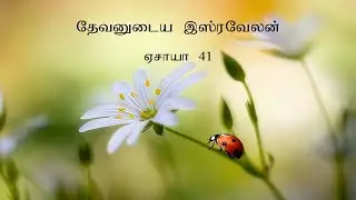 Isaiah 41 Explained |  ஏசாயா 41 | Israel Assured of God&rsquo;s Help | Tamil Bible Study | Vimal Kumar.