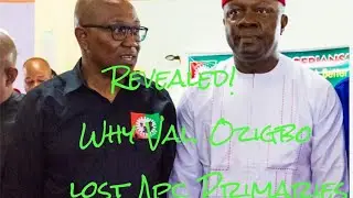 BREAKING NEWS! WHY VALENTINE OZIGBO LOST APC PRIMARIES