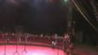 video from the duo varanne