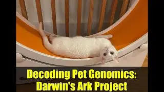 Decoding Pet Genomics: Darwin's Ark Project