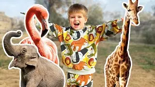 Mark visits the Zoo and learns about animals