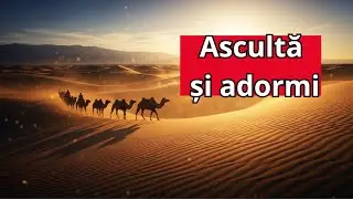 DRUMUL MĂTĂSII | Când Orientul Întâlnea Occidentul | POVESTE PENTRU SOMN🌙