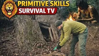 Primitive Life in Jungle | Wood Cutting&Survival Alone in Forest | Primitive Skills Shelter Building