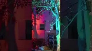 Fairy Light Pillar