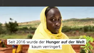 Welthunger-Index 2️⃣0️⃣2️⃣5️⃣ 20 Jahre im Blick 🔎 ZEIT f&uuml;r ein neues BEKENNTNIS zu #ZeroHunger 💚
