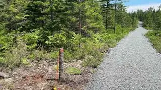 Lot 255 Loon Point Trail