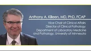 Instrument's Calibration in the Clinical Laboratory: Impact on patient care