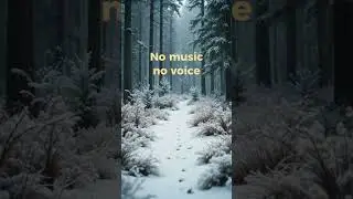 No Music. Just Snow #snowfootsteps #quietnight #backgroundsound #sleepsounds #restflowharmony