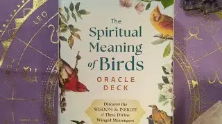 The Spiritual Meaning of Birds Oracle Deck - Arin Murphy-Hiscock