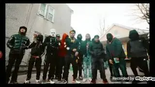 pollito trapper - rulay preview 🗽