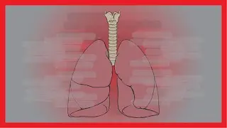 El humo es dañino para pulmones - te lo explico