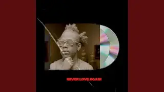 Never Love Again
