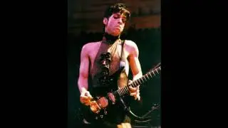 Rare Prince live performance Billy Jack Bitch 1994 Evolsidog