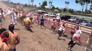 Bull Run Slow Motion
