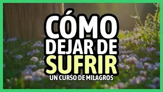 C&oacute;mo Dejar de Sufrir | Un Curso de Milagros | Alan Cohen