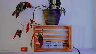 Rhythm Science Sound | Bio Data Music Demonstration