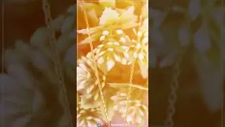 😍 With this rose gold pendant from JP jewellery, you can reevaluate grace