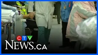 Study looks at family doctors