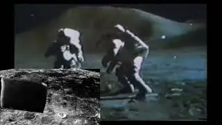 Things They Missed On The Moon?